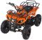 Квадроцикл  MOTAX ATV Mini Grizlik X-16 (э/с)